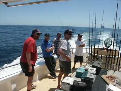 PICT8260.JPG
