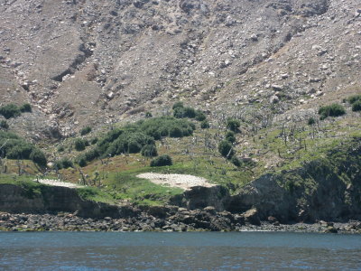 PICT8264.JPG