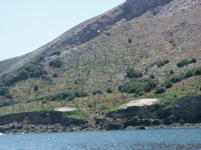 PICT8267.JPG