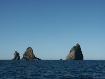 PICT8270.JPG