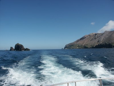 PICT8286.JPG