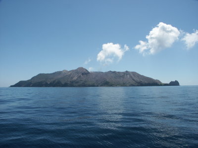 PICT8293.JPG