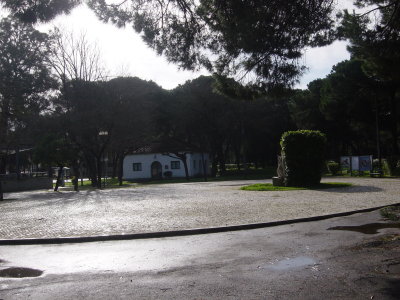 DSC05061.JPG