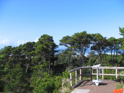 IMG_0781.JPG