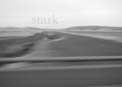 stark         a special gallery