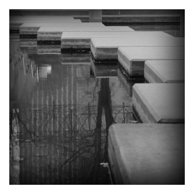 DSC_4674bw-square-50.jpg