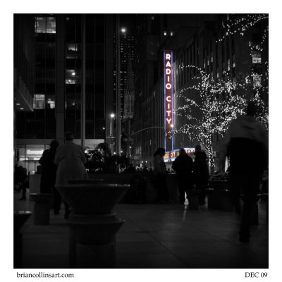 DSC_5444bw-square-50.jpg