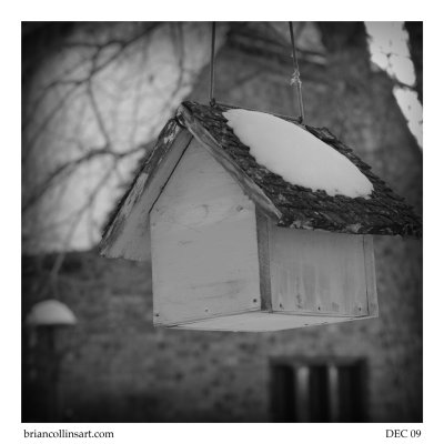 DSC_5774bw-square-50.jpg
