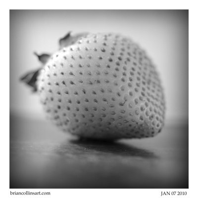 strawberry #2