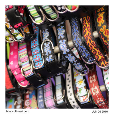 pet collars