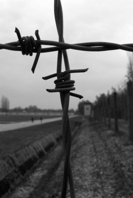 Fence of thorns