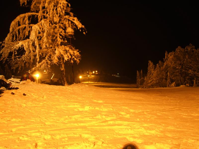 Dedovka at night - 2