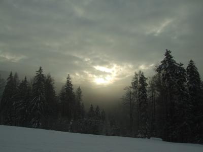 view from Dedovka - Kosariska, Slope No 2