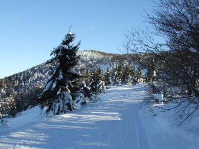 Velka Raca - 1236 m - green path