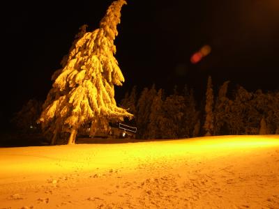 Dedovka at night - 1