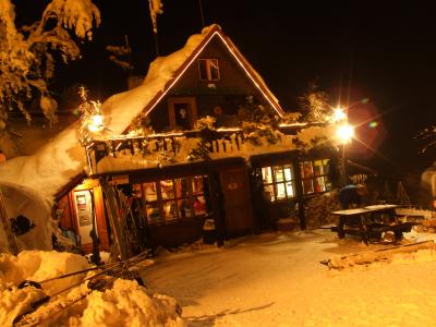 Dedovka at night - 3