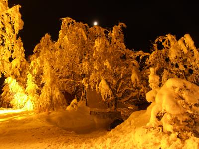 Dedovka at night - 4