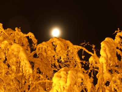 Dedovka at night - 5