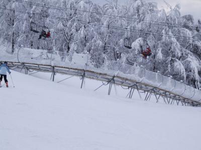 bobova draha - Alpin Coaster - 1