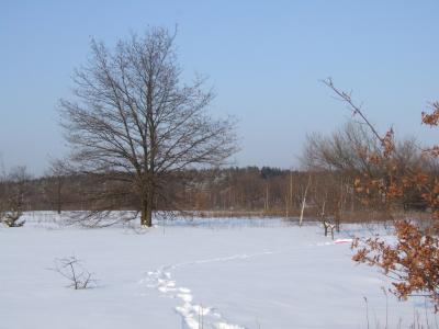 Legionowo, Winter 2006