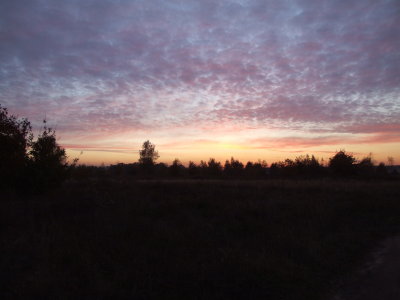 DSCF3919.JPG