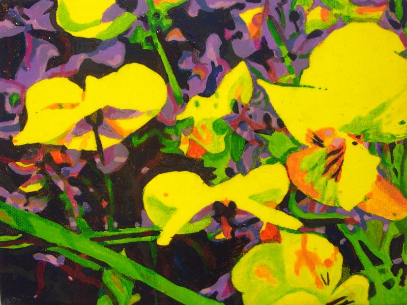Winter Violas