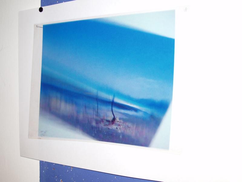acetate in wind 04.jpg