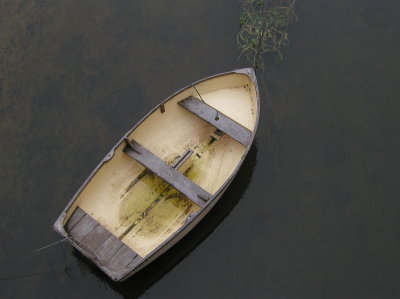 River Alde Snape- 174.jpg