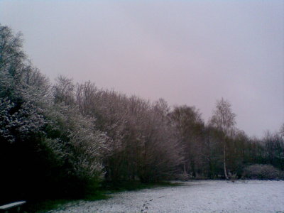 snow in the park