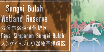 Sungei Buloh Wetland Reserve (Singapore)