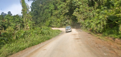 Rainforest Road