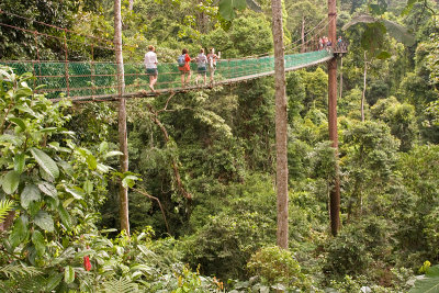 Canopy Walkway