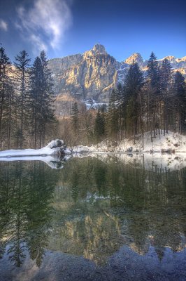 Alpine reflection