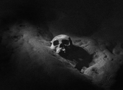 caveskull2.jpg