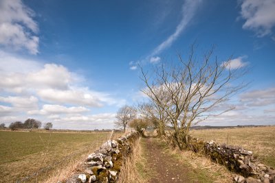 Drystone