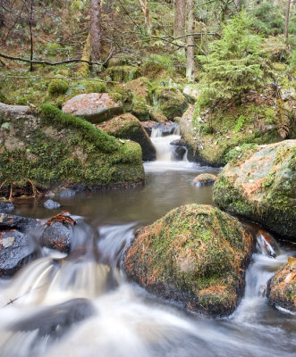 flow3.jpg