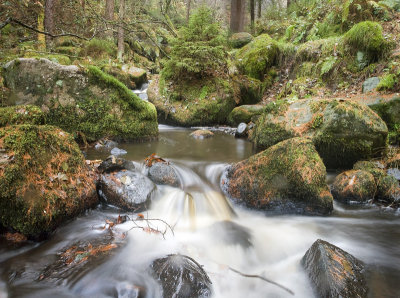 flow4.jpg