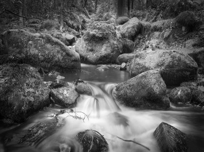 flow4wb.jpg