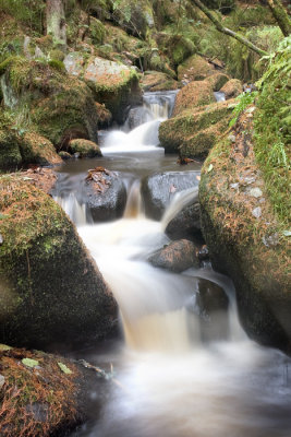 flow5.jpg