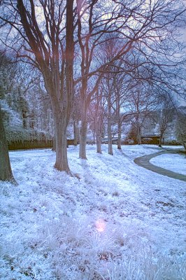 Infrared park