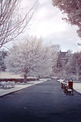 Infrared benches