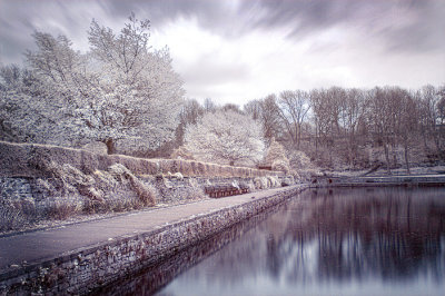 Infrared  reflection
