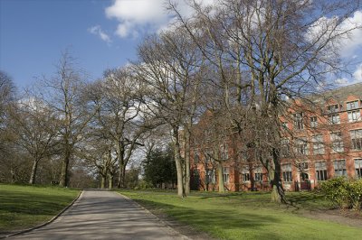 fFirth court