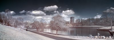 Infrared panorama