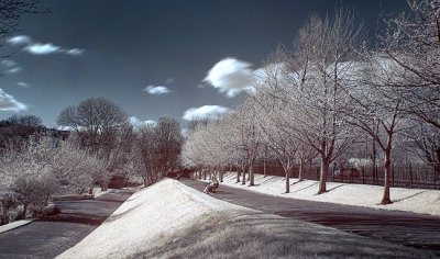 Infrared avenue