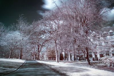 Infrared firth