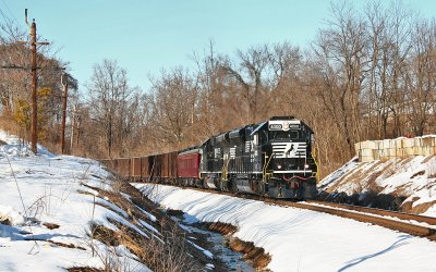 NS 995 at Starkey #1