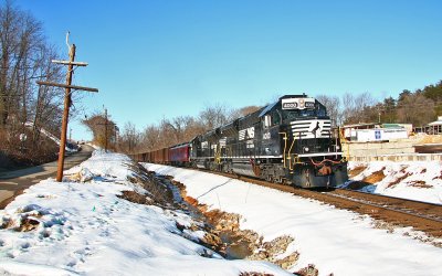 NS 995 at Starkey #2