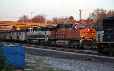 g3/44/669044/3/123227993.ZBamKn4l.jpg