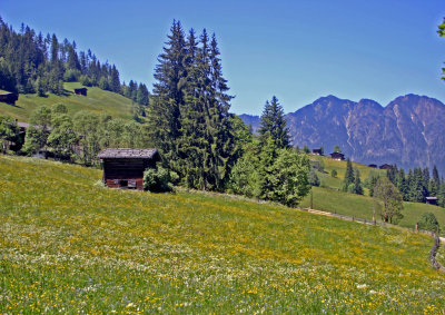 024higher hay meadows.jpg